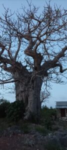 lotteria_solidale_kenya (2)